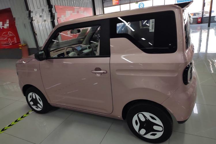 Used  Panda 2025 210 km – Yuanqi Bear
