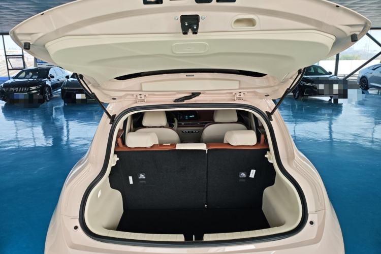 Used ORA Good Cat 2023 401 km Standard Range Luxury Version Lithium Iron Phosphate