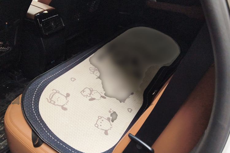 Used BYD Tang New Energy 2023 DM-i Champion Edition 112KM Prestige Model