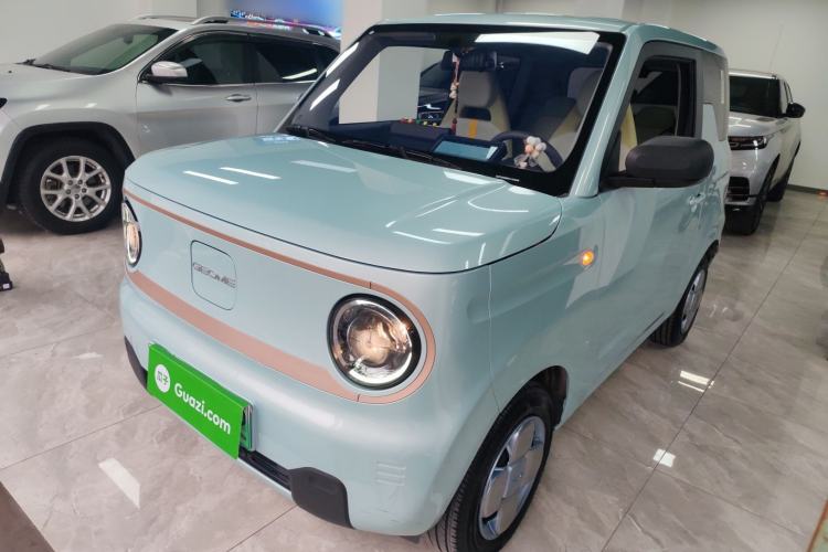 Used  Panda 2024 Panda Mini 200km Endurance Bear
