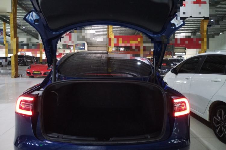 Used Tesla Model 3 2021 Standard Range Rear-Drive Upgraded Version