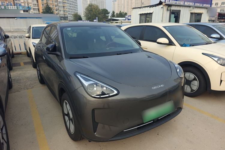 Used  Geome 2025 310km Youth Edition
