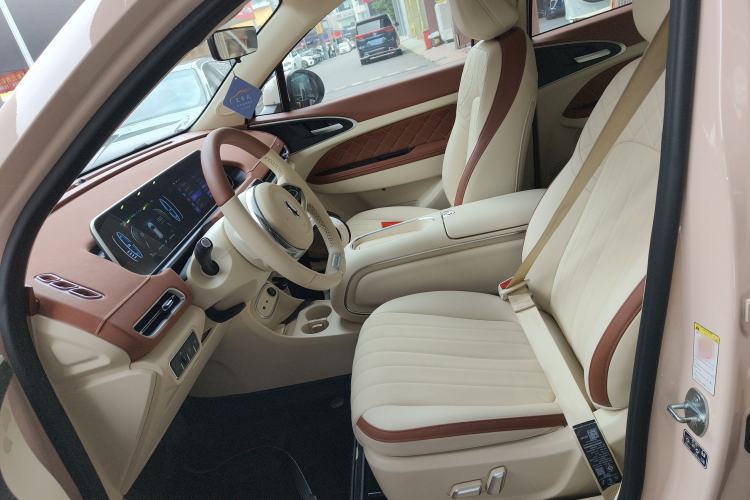 Used ORA Good Cat 2023 401 km Standard Range Luxury Version Lithium Iron Phosphate
