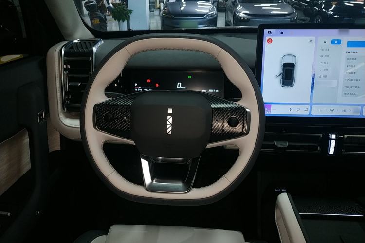 Used  03 2024 501km Two-Wheel Drive Long-Range Version