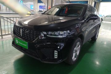 Used Wey VV5 2020 1.5T Two-Wheel Drive Color Pioneer