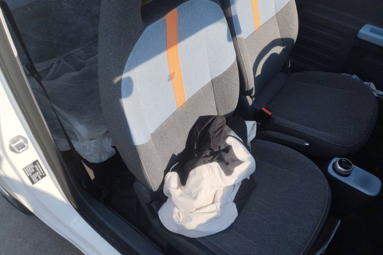 Used  Panda 2024 Panda Mini 200km Endurance Bear
