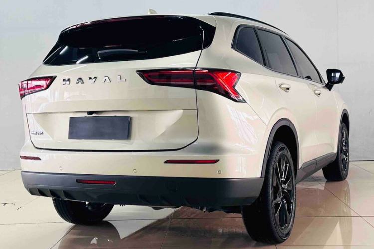 Used Haval H6 2024 1.5T Two-Wheel Drive Pro