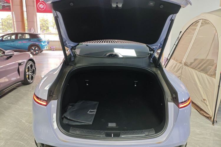 Used  06 2025 Pro Range-Extended Edition
