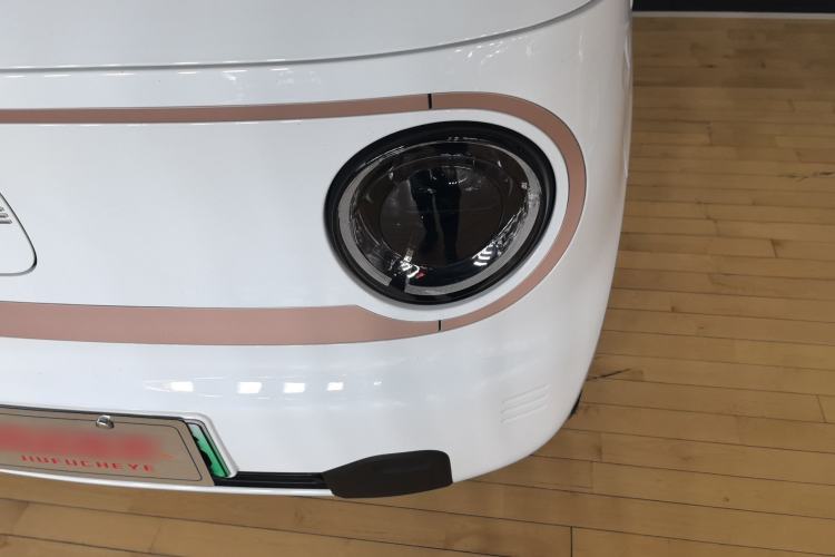 Used  Panda 2024 Panda Mini 200km Endurance Bear
