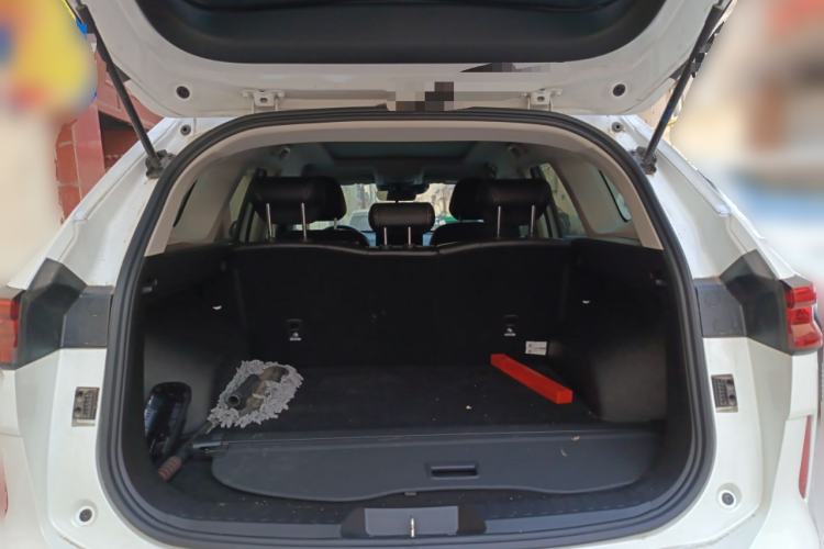 Used Haval H6 2024 1.5T Two-Wheel-Drive Classic Edition
