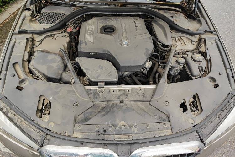 Used BMW 5 Series 2018 528Li Launch Special Edition