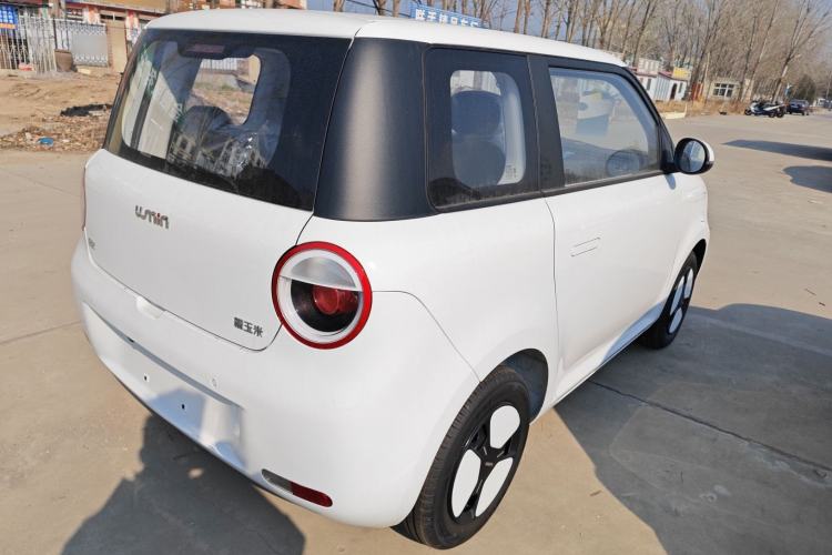 Used Qiyuan Lumin 2025 205 km Xiangqin Version