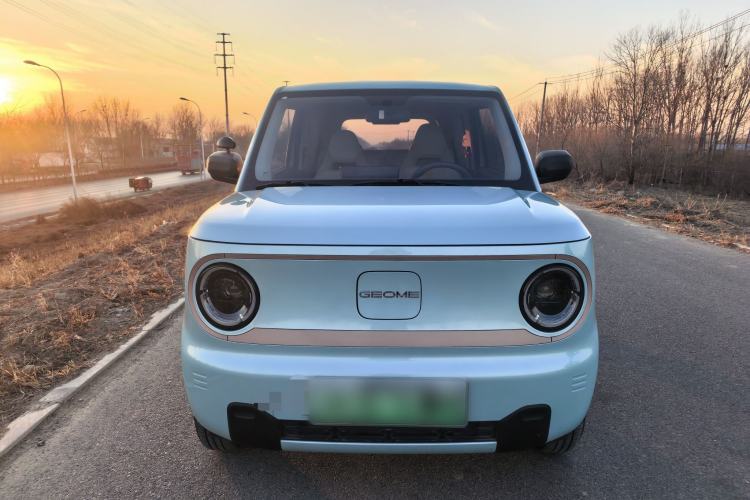 Used  Panda 2024 Panda Mini 200km Endurance Bear
