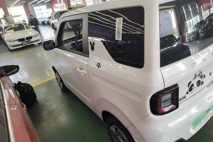 Used  Panda 2024 Panda Mini 200km Endurance Bear