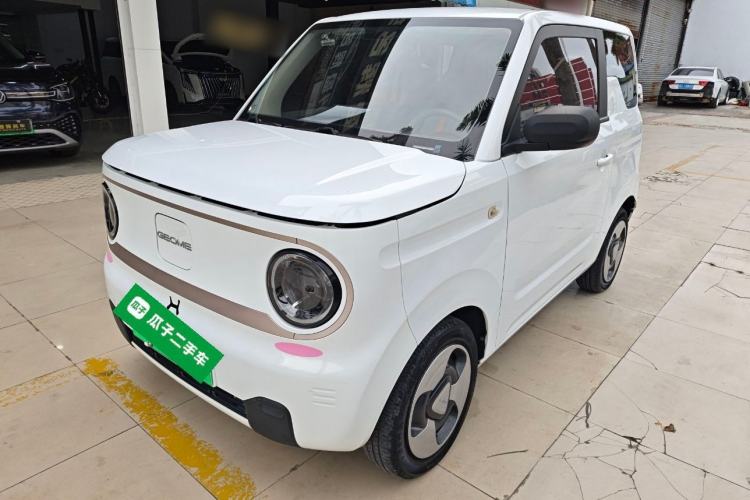 Used  Panda 2023 Panda Mini 200km Dynamic Bear