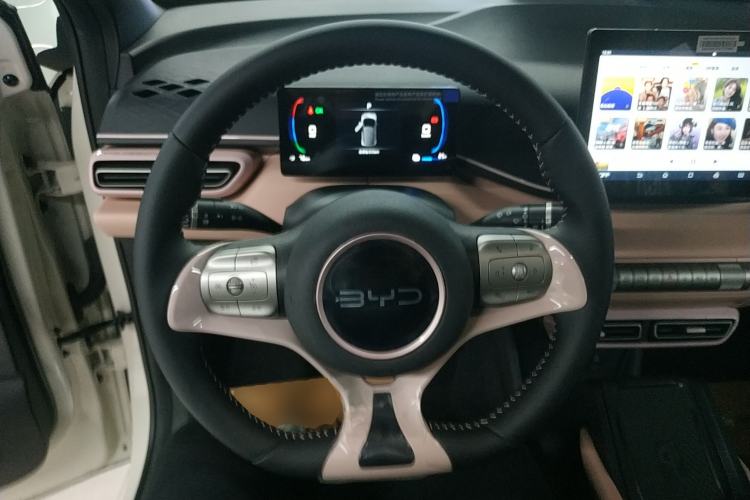 Used BYD Seagull 2025 305 km Free Version
