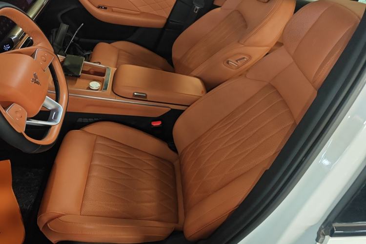 Used NETA L 2024 Extended-Range 220 PRO+ Family Package