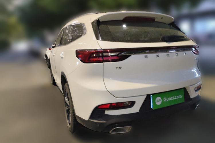 Used  TX 2020 1.6T Two-Wheel Drive Star Edition