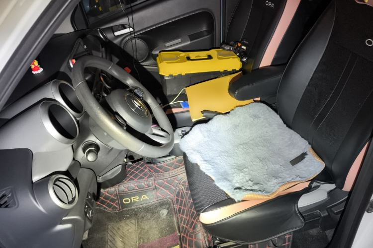 Used ORA Black Cat 2019 301km Standard Edition