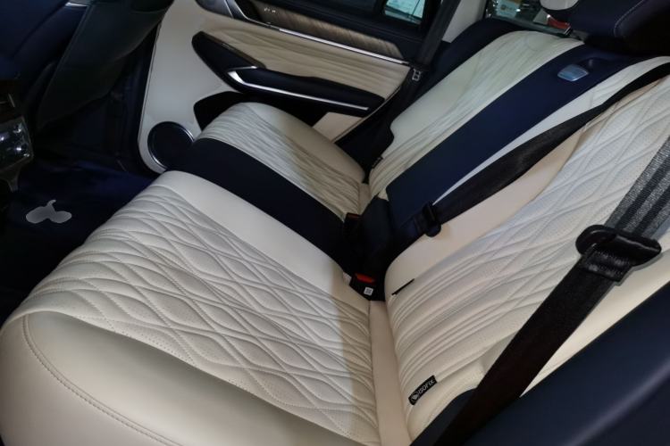 Used Tank 500 New Energy 2023 Hi4-T
