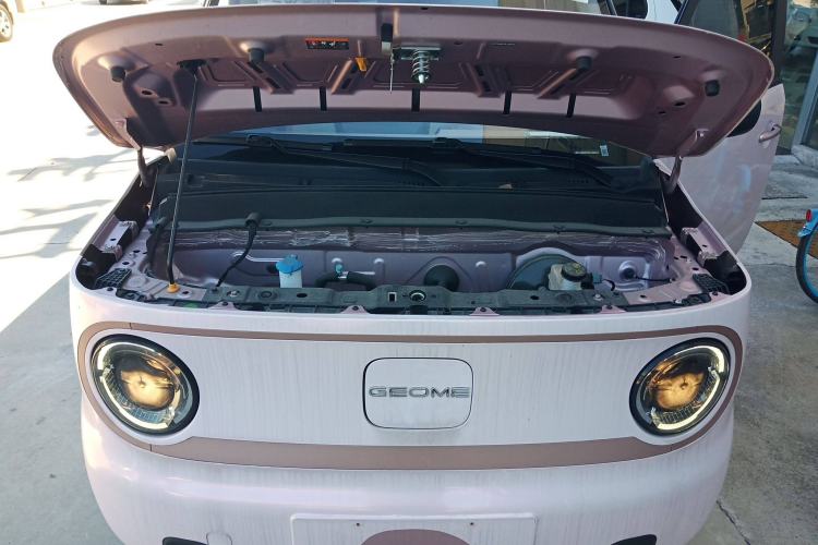 Used  Panda 2023 Panda Mini 200km Endurance Bear
