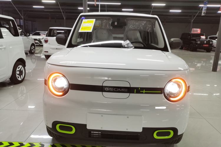 Used  Panda 2025 210 km – Yuanqi Bear