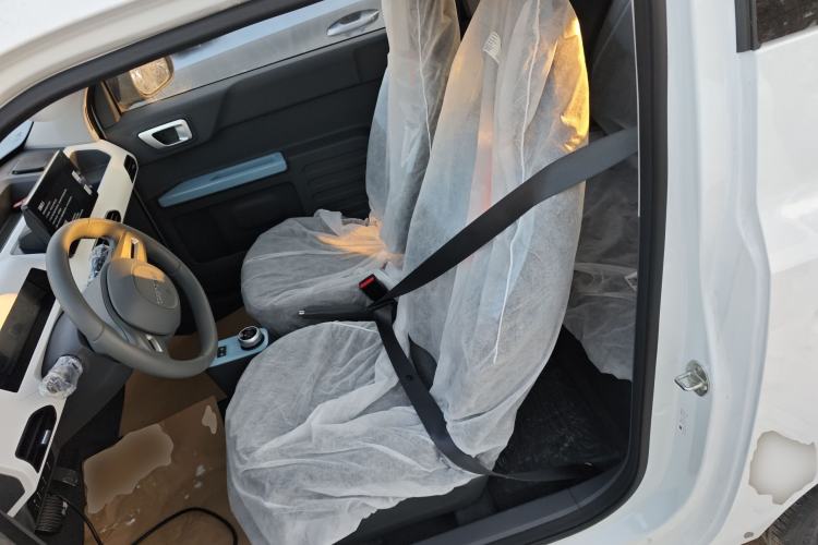 Used  Panda 2024 Panda Mini 200km Endurance Bear