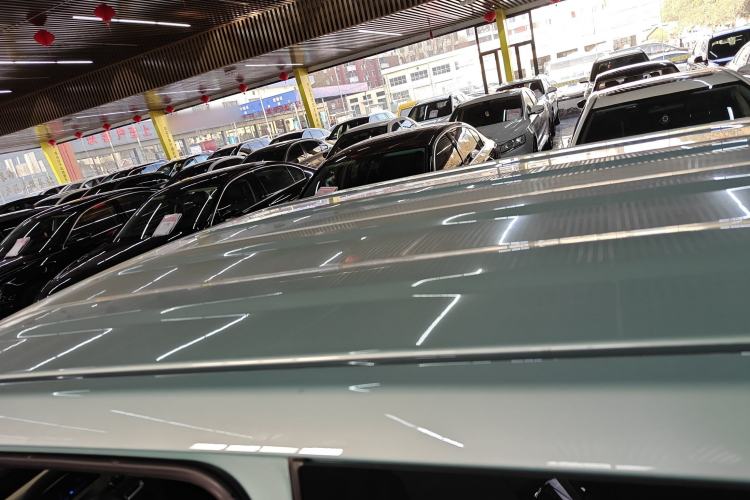 Used  Panda 2024 Panda Mini 200km Endurance Bear
