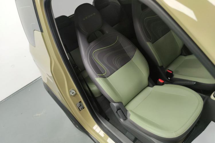 Used  Panda 2024 200km Panda Rider
