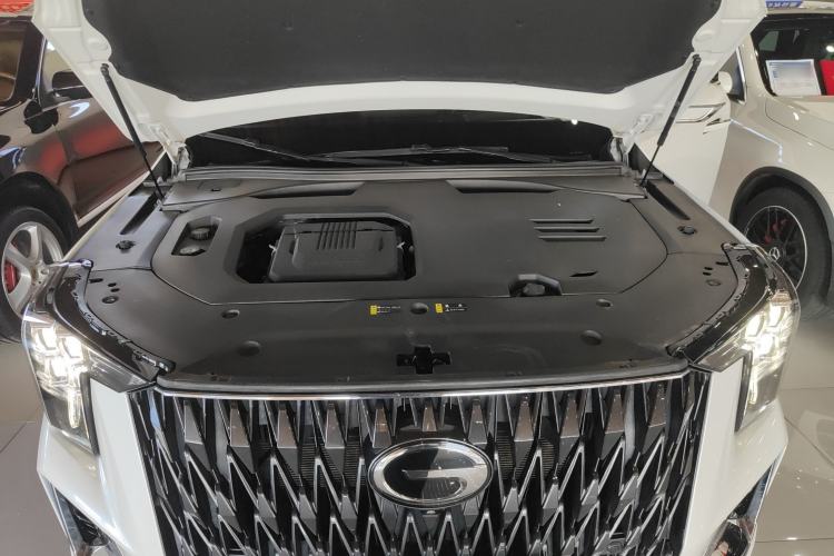 Used GAC Trumpchi GS8 2022 Double-Energy Series 2.0TM Four-Wheel Drive Premium Edition (7 Seats)
