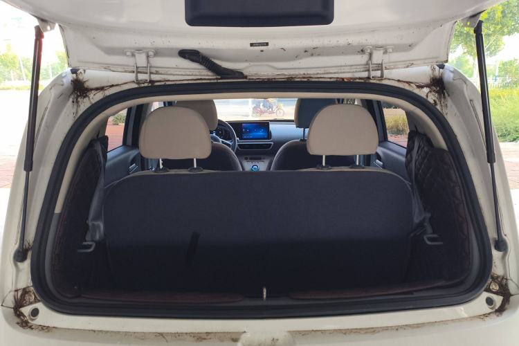 Used ORA White Cat 2020 360 km Luxury Version
