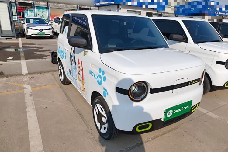 Used  Panda 2025 210 km – Yuanqi Bear
