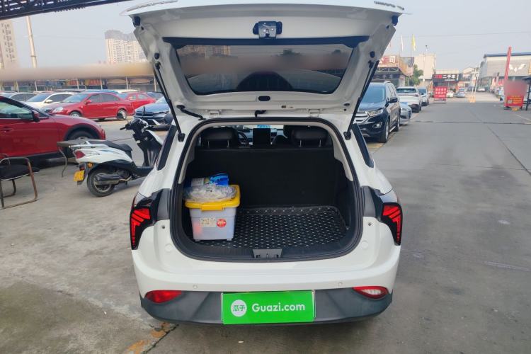 Used NETA V 2021 Long-Range Entertainment Edition Upgrade Model
