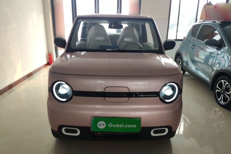 Used  Panda 2025 210 km – Yuanqi Bear
