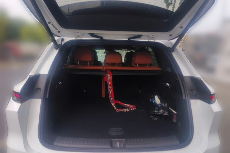 Used Li Auto L6 2024 Max