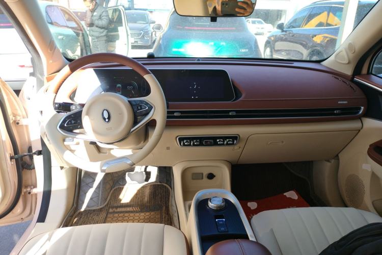 Used ORA Good Cat 2021 400km Standard Range Venus Edition Lithium-Ion Battery
