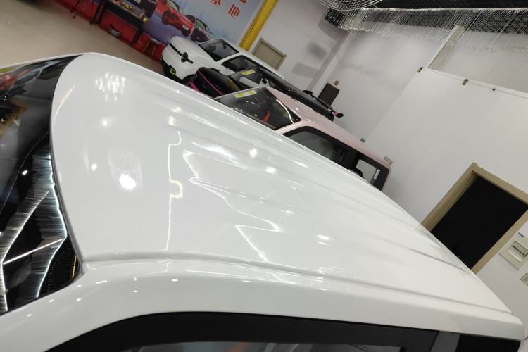 Used  Panda 2024 Panda Mini 200km Endurance Bear
