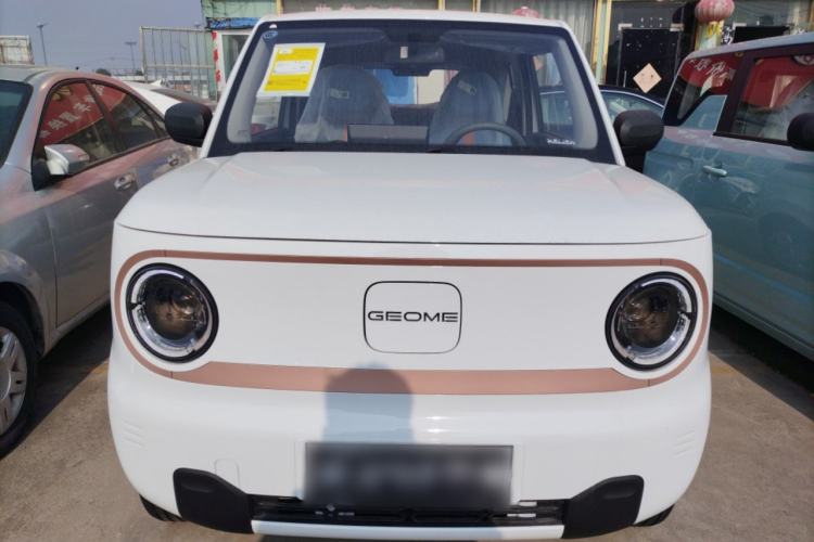 Used  Panda 2024 Panda Mini 200km Endurance Bear
