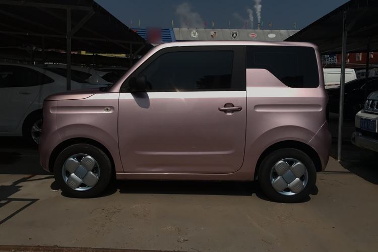 Used  Panda 2023 Panda Mini 200km Endurance Bear
