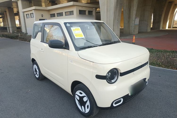 Used  Panda 2025 210 km – Yuanqi Bear
