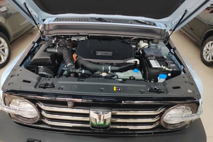 Used Tank 300 New Energy 2024 Hi4-T
