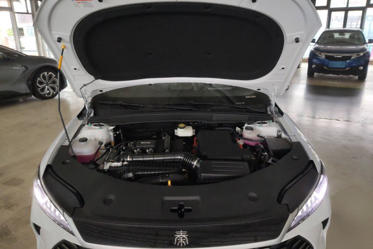 Used BYD Qin PLUS 2025 DM-i Smart Drive 55KM Leading Model
