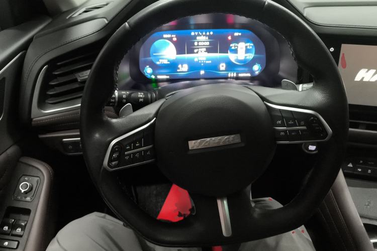 Used Haval F7 2020 2.0T Two-Wheel Drive i-Van
