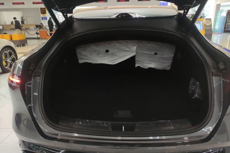 Used  06 2025 Ultra Pure Electric Edition