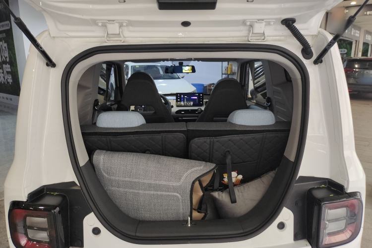 Used  Panda 2024 Panda Mini 200km Endurance Bear
