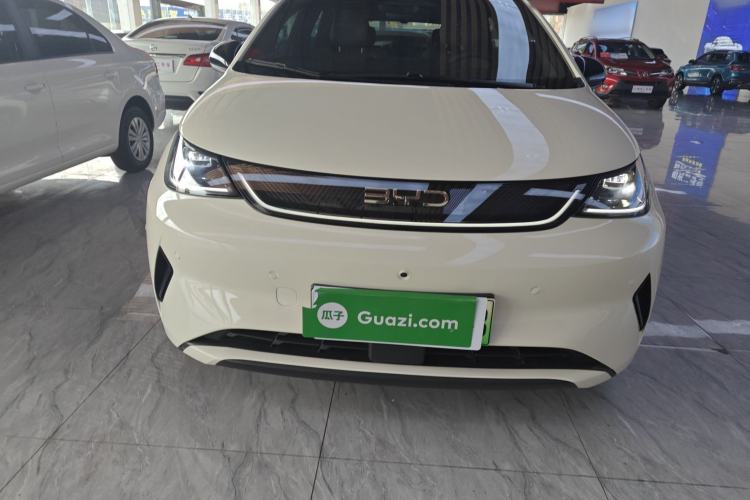 Used BYD Dolphin 2025 Smart Drive Version 420 km Freedom Edition
