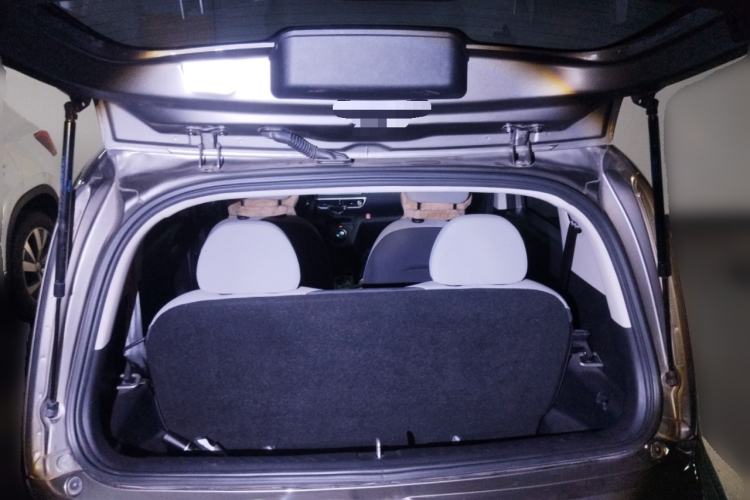 Used ORA White Cat 2020 305 km Luxury Version
