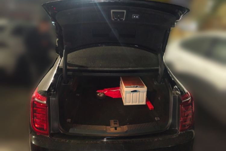 Used Hongqi H9 2022 2.0T Smart Connect Flagship Edition