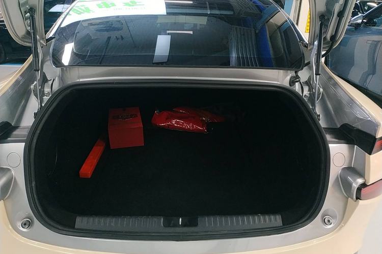 Used XPeng P7 2021 480N
