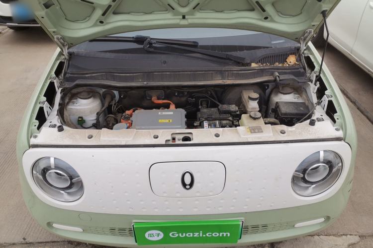 Used ORA Black Cat 2022 301km Base Version Ternary Lithium
